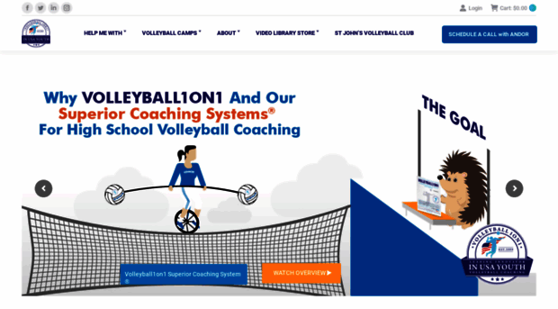 volleyball1on1.com