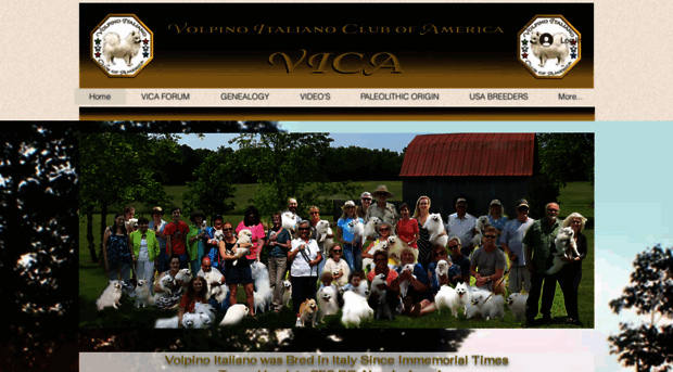 volpinoclubofamerica.com