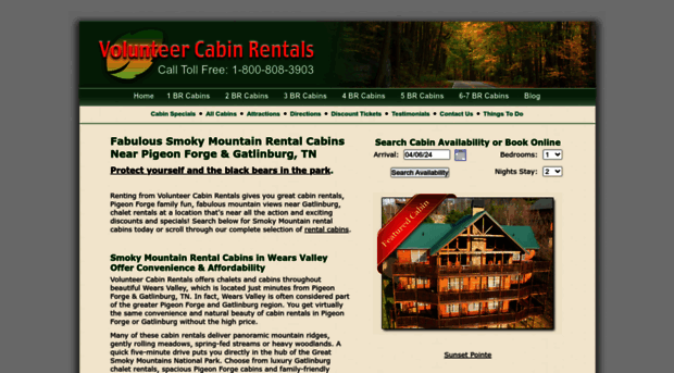 volunteercabinrentals.net