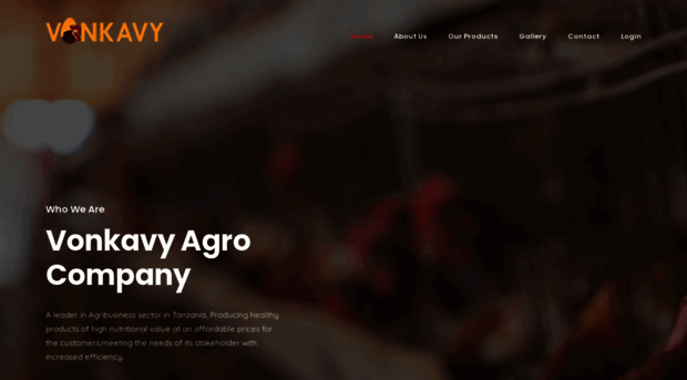 vonkavy.co.tz