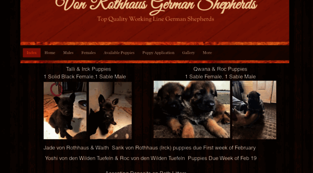 vonrothhausgermanshepherds.com