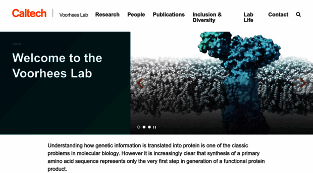 voorheeslab.caltech.edu