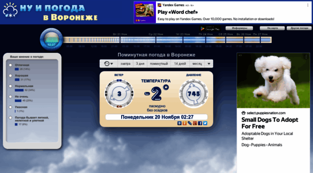 voronezh.nuipogoda.ru