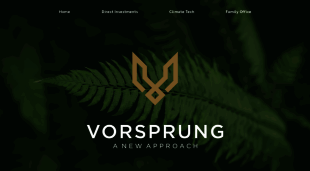 vorsprungadvisory.com