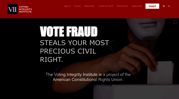 votingintegrityinstitute.org