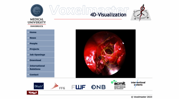 voxelmaster.at