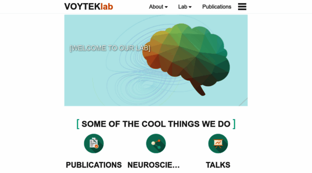 voyteklab.com