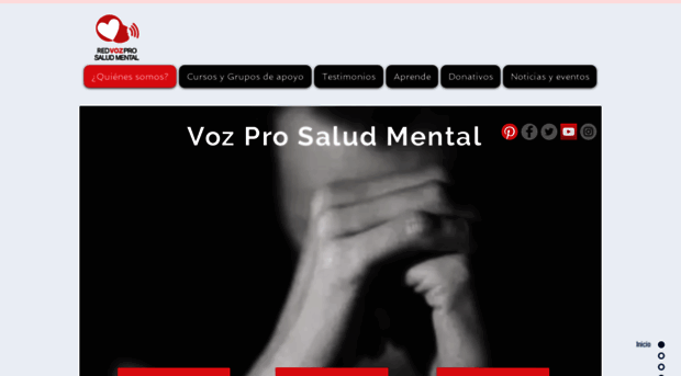 vozprosaludmental.org.mx