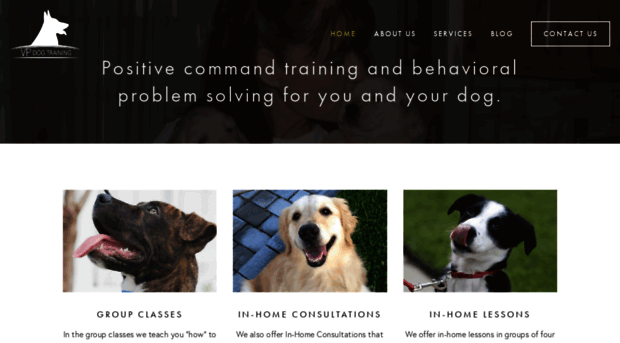 vpdogtraining.com