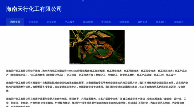 vs09.com
