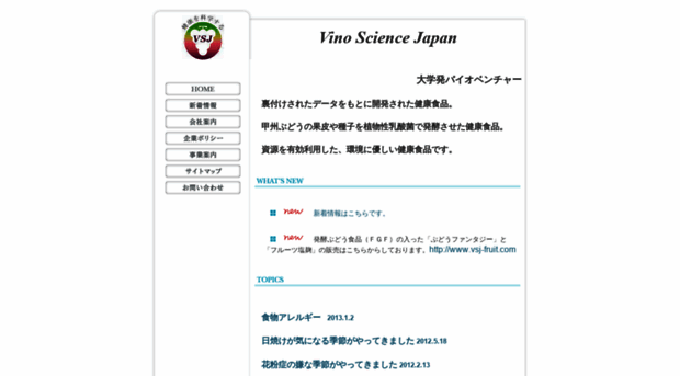 vsj.co.jp