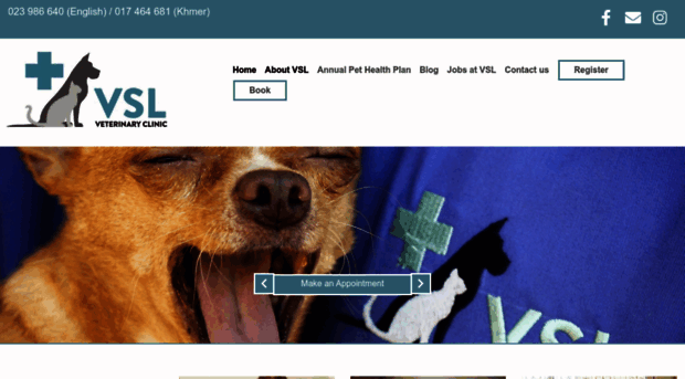 vslveterinary.com