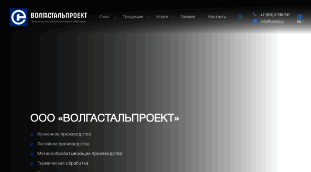 vspnn.ru