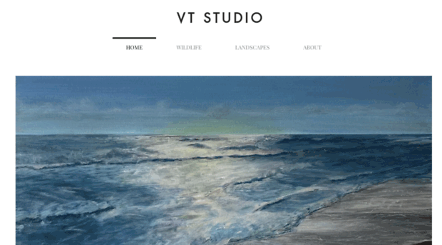 vtstudio.org