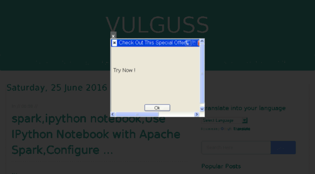 vulguss.com