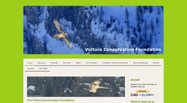 vultureconservation.org