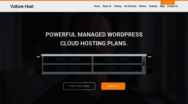 vulturehost.com