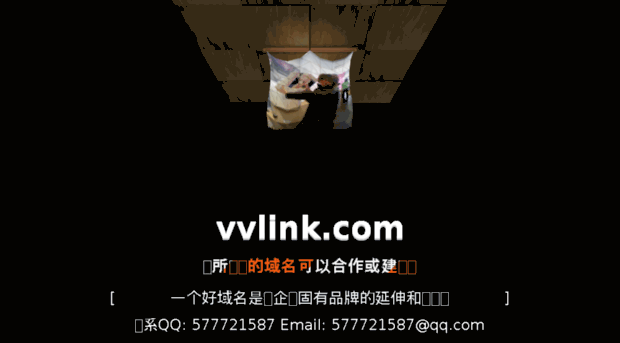 vvlink.com