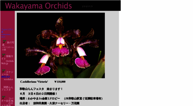w-orchids.net