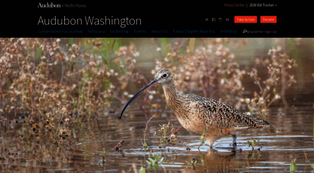 wa.audubon.org