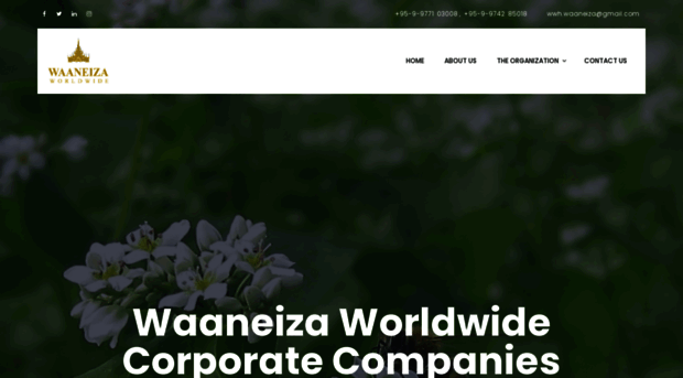 waaneiza.com