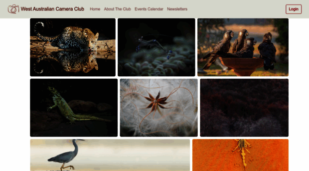 wacameraclub.org