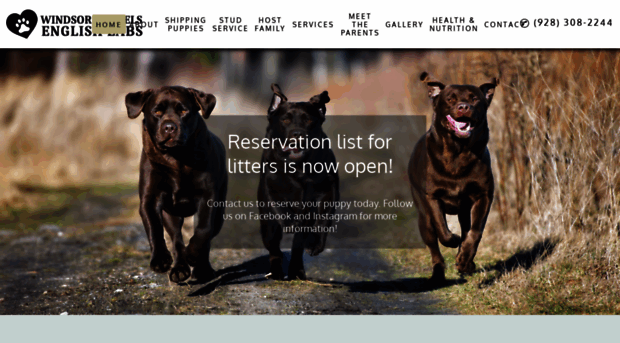 waddelldogbreeding.com