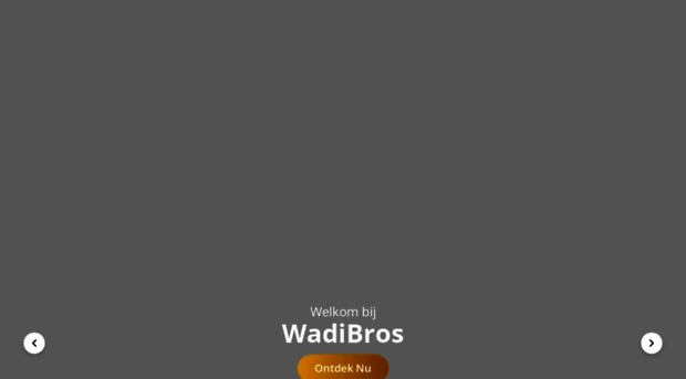 wadibros.nl