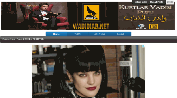 wadidiab.net