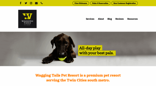 waggingtailspetresort.com