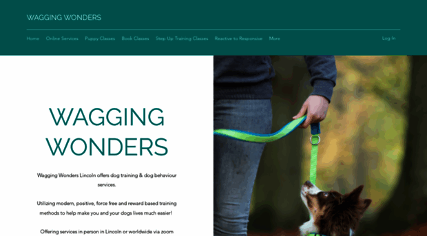 waggingwonderslincoln.co.uk