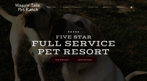 waggintailspetranch.com