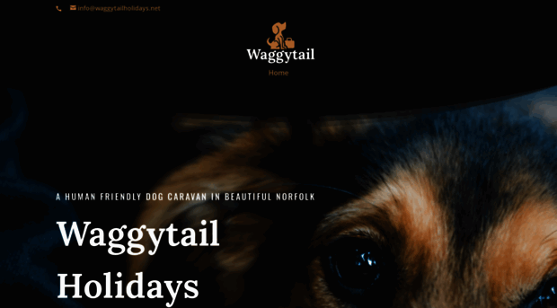 waggytailholidays.net