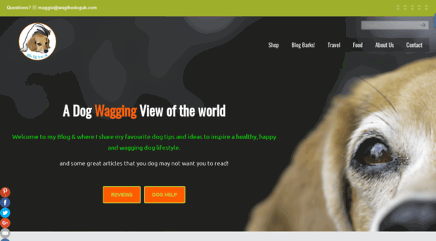 wagngo.com
