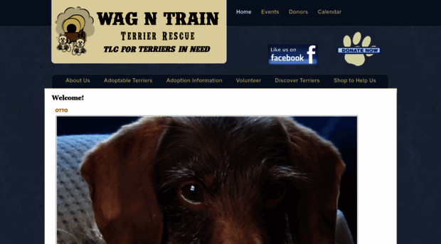 wagntrainterrierrescue.com