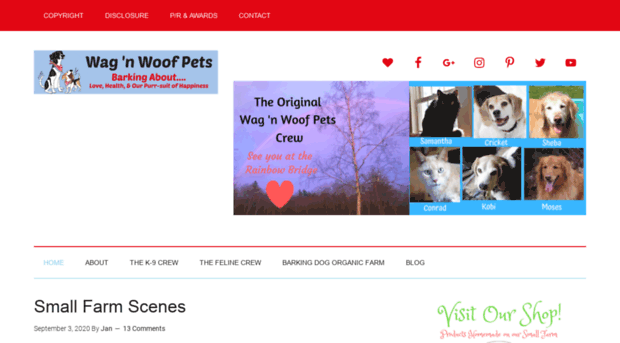 wagnwoofpets.com