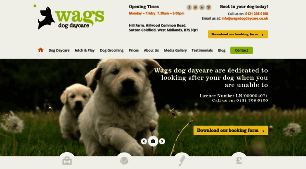 wagsdogdaycare.co.uk