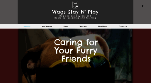 wagsstaynplay.com