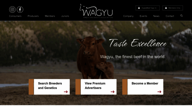 wagyu.org