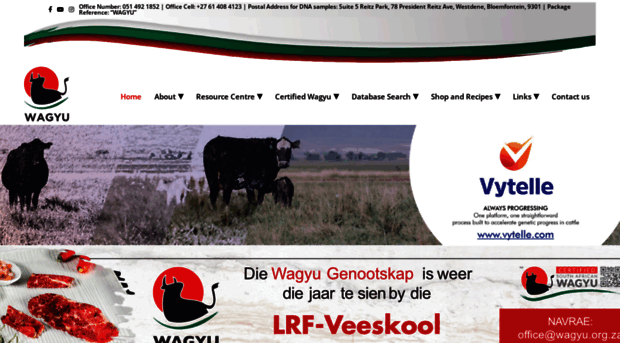 wagyu.org.za