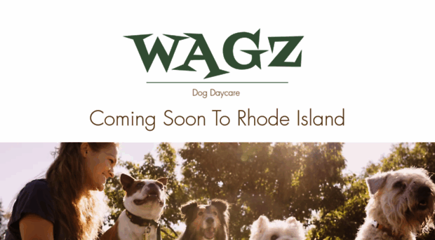 wagzpetresort.com