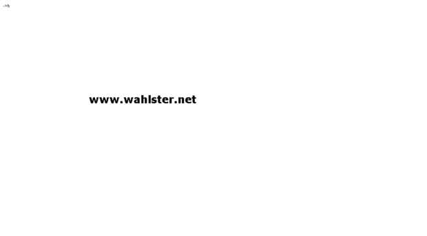 wahlster.net