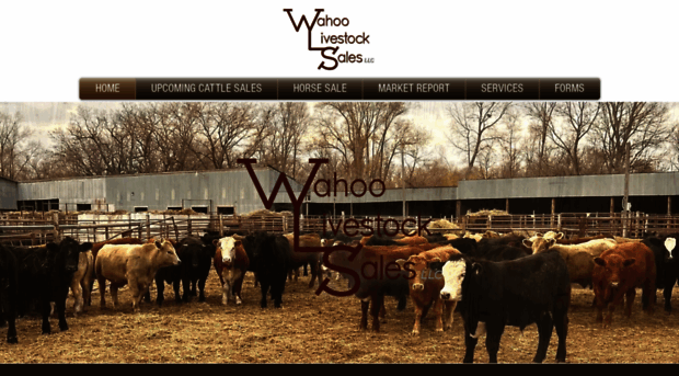 wahoolivestock.com