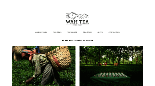 wahtea.com