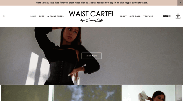 waistcartel.com
