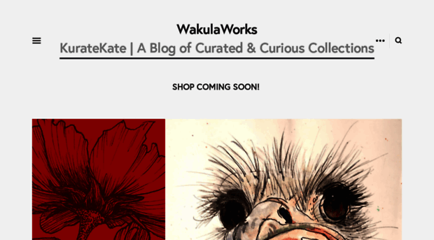 wakulaworks.com