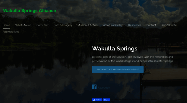 wakullaspringsalliance.org