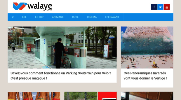 walaye.com