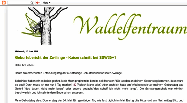 waldelfentraum.blogspot.com