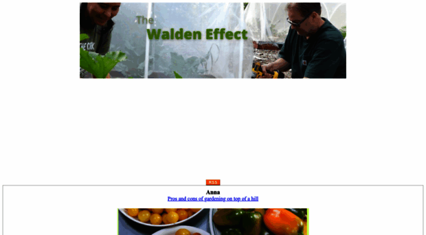 waldeneffect.org